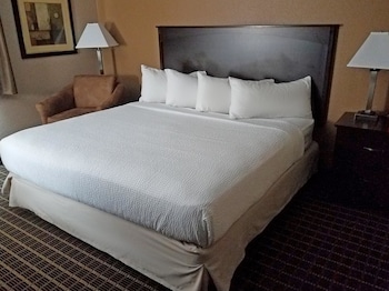 Suite, One King Bed, Non-Smoking