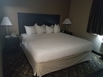 Suite, One King Bed, Non-Smoking