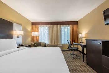 Standard Room, 1 King Bed, Non Smoking
