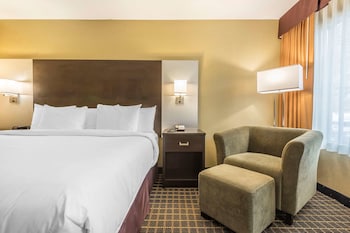 Standard Room, 1 King Bed, Non Smoking