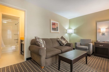Suite, 1 King Bed, Non Smoking