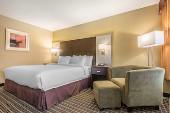Standard Room, 1 King Bed, Non Smoking