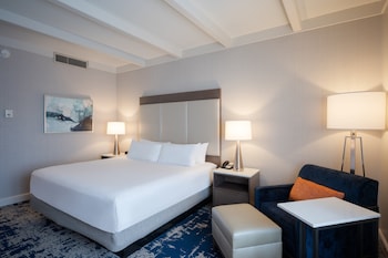 Standard Room, 1 King Bed, Accessible Bathtub (Mobility)