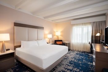 Standard Room, 1 King Bed, Accessible Bathtub (Mobility)