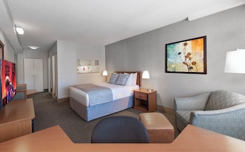 Studio Suite, 1 Queen Bed