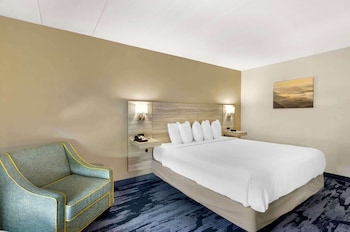 Standard Room, 1 King Bed, Accessible, Refrigerator & Microwave