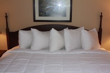 Room, 1 King Bed, Jetted Tub