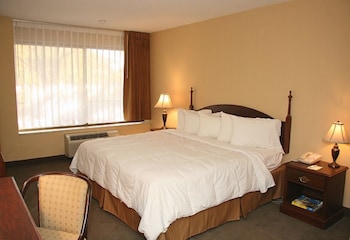 Room, 1 King Bed, Jetted Tub