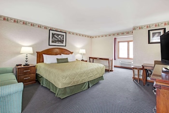 Superior Room, 1 King Bed, Non Smoking