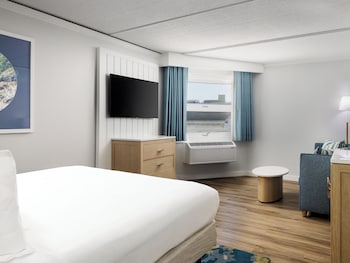 Standard Room, 1 King Bed, Sofa Bed