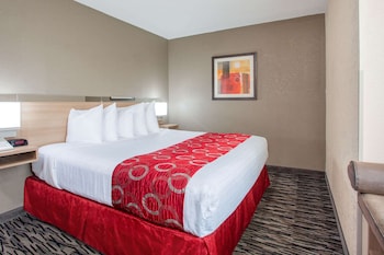 Room, 1 King Bed, Accessible, Non Smoking (Mobility/Roll-In Shower)