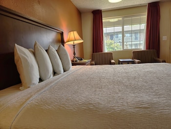 Standard Room, 1 King Bed, Non Smoking, Courtyard View