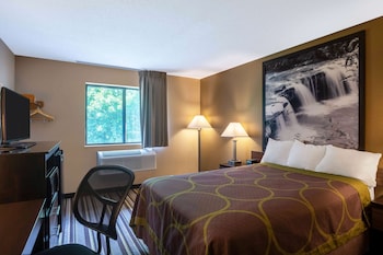 Room, 1 Queen Bed, Non Smoking