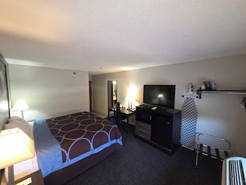 Room, 1 King Bed