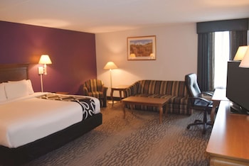 1 King Bed, Non-Smoking