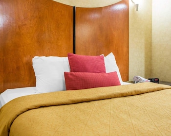 Standard Room, 1 Queen Bed, Non Smoking