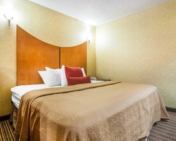 Suite, 1 King Bed