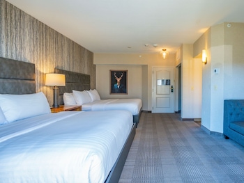 Standard Room, Multiple Beds, Roll-in Shower