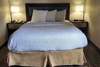 Suite, 1 Double Bed, Non Smoking