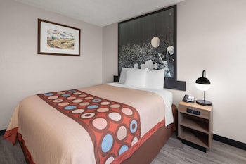 Room, 1 Queen Bed, Non Smoking