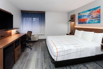 Room, 1 King Bed, Accessible, Non Smoking (Mobility, Roll-In Shower)