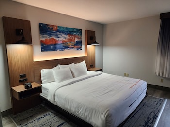 Room, 1 King Bed, Accessible, Non Smoking (Mobility, Roll-In Shower)
