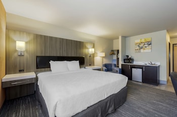 Standard Room, 1 King Bed, Non Smoking, Refrigerator & Microwave (with Sofabed)