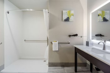 Standard Room, 1 King Bed, Accessible, Refrigerator & Microwave (Walk-in Shower)