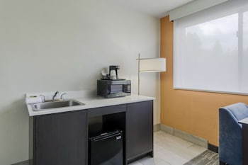 Standard Room, 1 King Bed, Non Smoking, Refrigerator & Microwave
