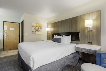 Standard Room, 1 King Bed, Accessible, Refrigerator & Microwave