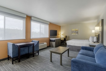 Standard Room, 1 King Bed, Non Smoking, Refrigerator & Microwave