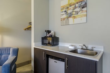 Standard Room, 1 King Bed, Non Smoking, Refrigerator & Microwave (with Sofabed)