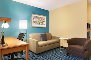 Suite, 1 King Bed with Sofa bed