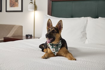 Deluxe Room, 1 King Bed, Accessible (Shower)