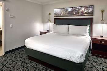 Deluxe Room, 1 King Bed, Accessible, Bathtub