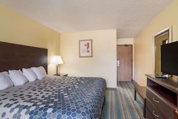 Standard Room, 1 King Bed, Non Smoking