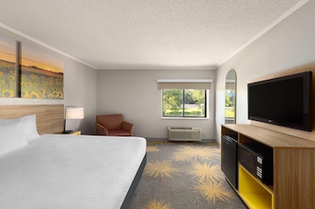 Suite, 1 King Bed, Non Smoking