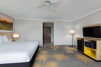Suite, 1 King Bed, Non Smoking