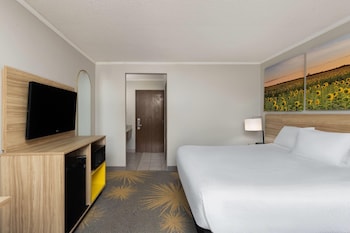 Room, 1 King Bed, Non Smoking
