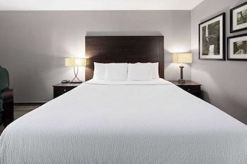 Room, 1 Double Bed, Accessible, Non Smoking (Mobility Accessible)