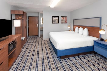 Room, 1 King Bed, Non Smoking