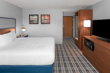 Room, 1 Queen Bed, Non Smoking