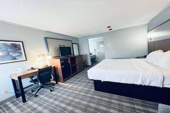 Room, 1 King Bed, Non Smoking