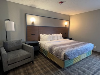 Room, 1 King Bed, Accessible, Non Smoking (Mobility/Hearing Accessible)