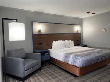 Room, 1 King Bed, Non Smoking