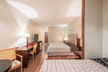 Suite Junior King Casal