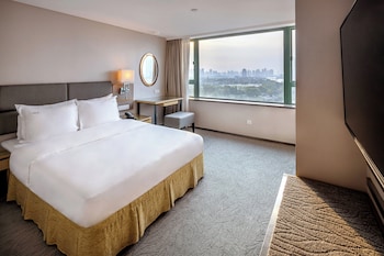 1 Queen Bed One Bedroom Suite