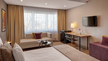 Business Single Room (Comfort)