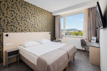 Standard Double Room Single Use