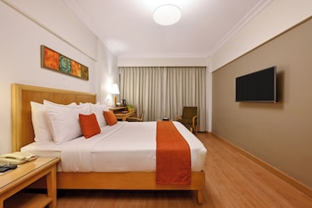 Deluxe Room + Buffet Breakfast + 20% on Food and Soft beverages + Wi-Fi